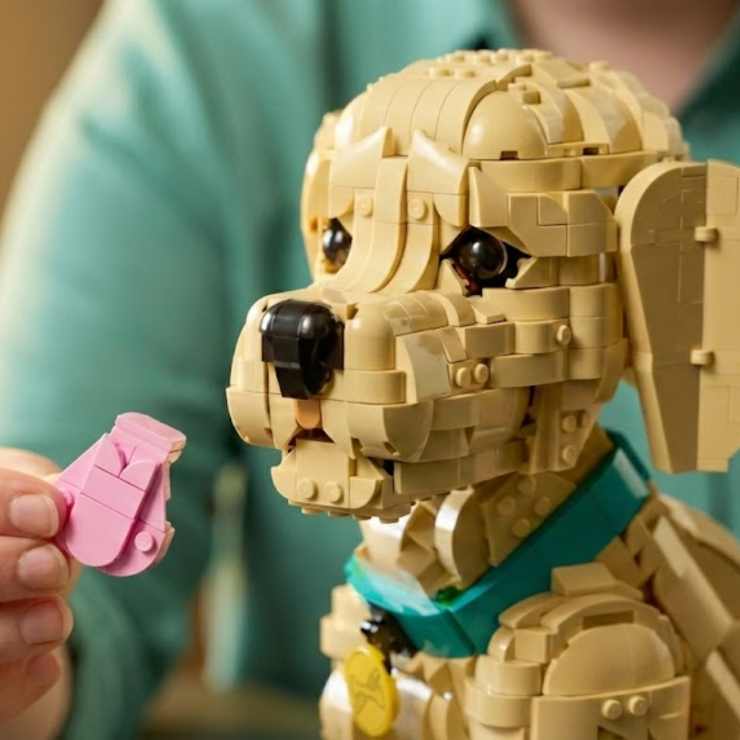 Cachorrinho Golden Retriever (2102 pe&ccedil;as)
