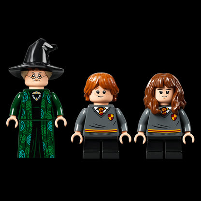 Harry Potter - Hogwarts: Aula de Transfigura&ccedil;&atilde;o (241 pe&ccedil;as)