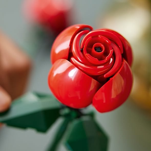Adicione um Buqu&ecirc; de Rosas (822 pe&ccedil;as)