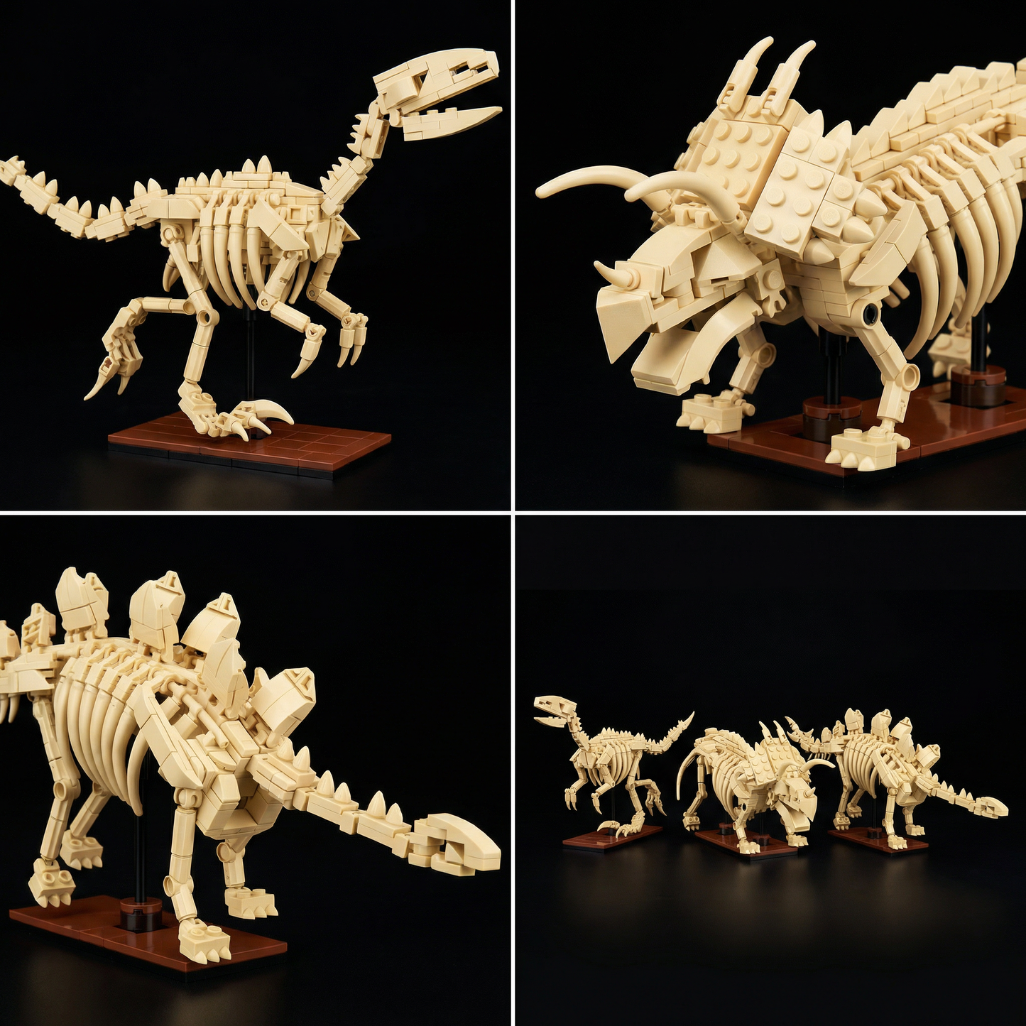 Dinossauros - Esqueletos 3 em 1 (825 pe&ccedil;as)