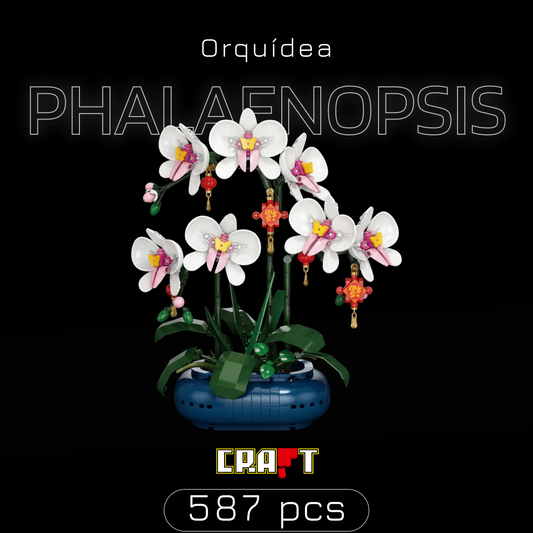 Orqu&iacute;dea Phalaenopsis em Vaso (587 pe&ccedil;as)