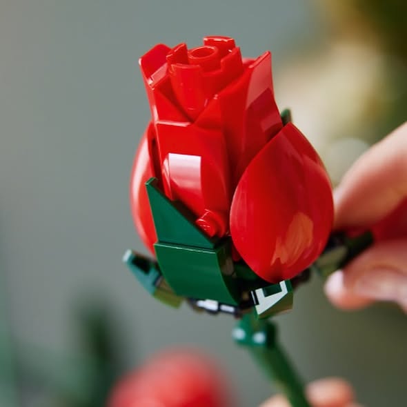 Adicione um Buqu&ecirc; de Rosas (822 pe&ccedil;as)