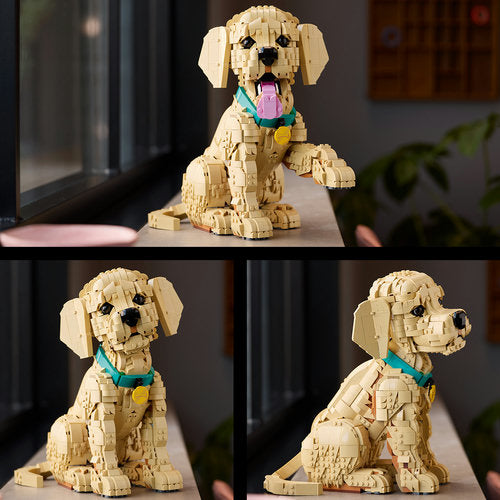 Cachorrinho Golden Retriever (2102 pe&ccedil;as)