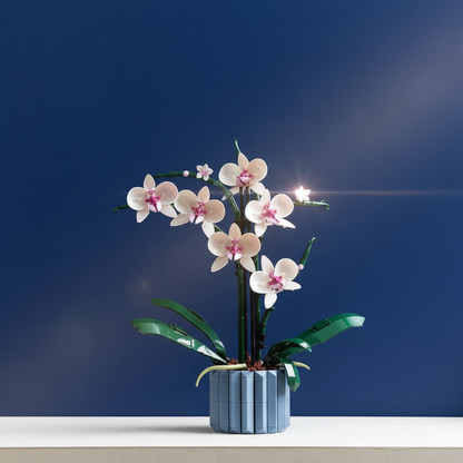 Buqu&ecirc; de Orqu&iacute;deas em Vaso (608 pe&ccedil;as)