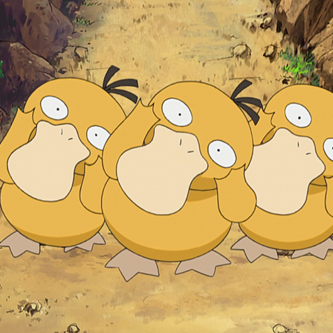 Grupo de Psyduck em cena de rota do anime