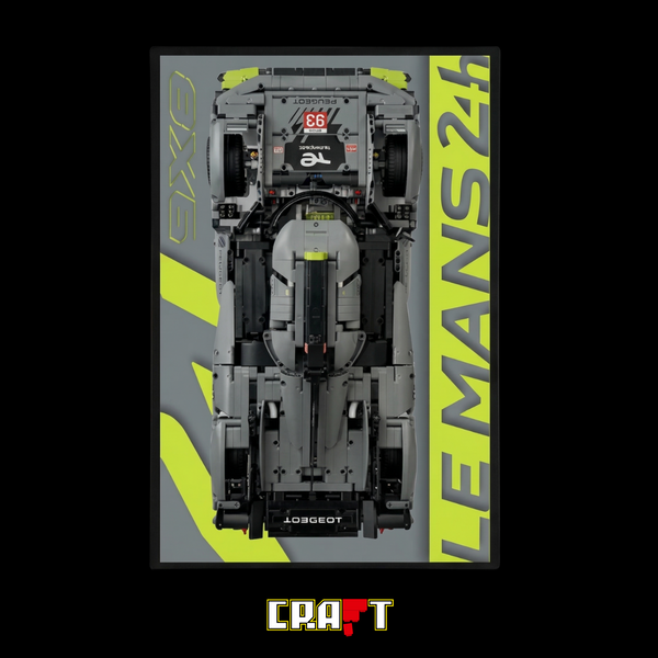 Quadro Fosco para o Peugeot 9x8 24h LeMans