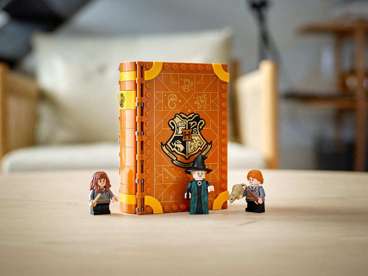 Harry Potter - Hogwarts: Aula de Transfigura&ccedil;&atilde;o (241 pe&ccedil;as)